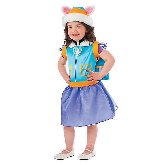 Alternate image 1 for Paw Patrol: Everest Classic Child's Halloween Costume