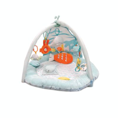 under the sea baby gym