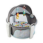 Alternate image 0 for Fisher-Price&reg; Windmill On-the-Go Baby Dome