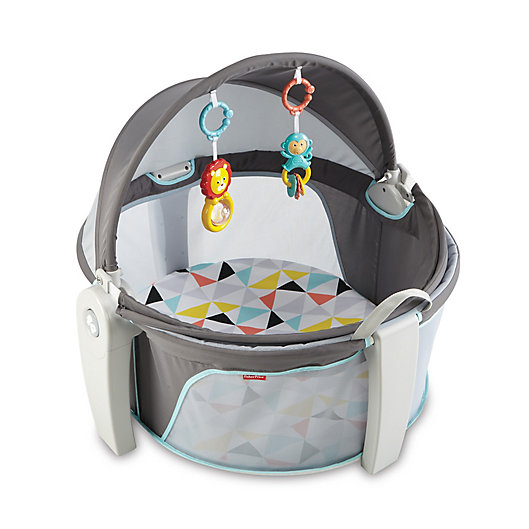 Alternate image 1 for Fisher-Price® Windmill On-the-Go Baby Dome
