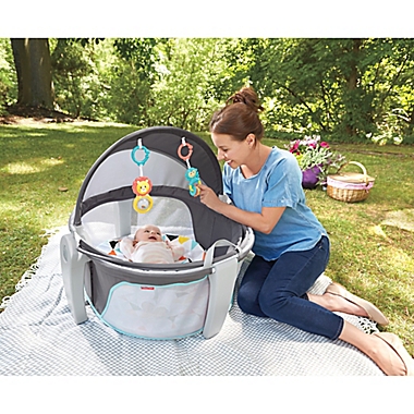 Fisher-Price&reg; Windmill On-the-Go Baby Dome. View a larger version of this product image.