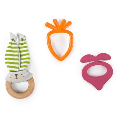 bright starts teether book