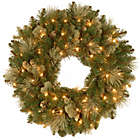 Alternate image 0 for National Tree Company Pre-Lit LED Carolina Pine Wreath