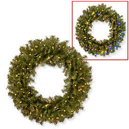National Tree Company 30-Inch Pre-Lit Norwood Fir Wreath with Dual Color® LED Lights