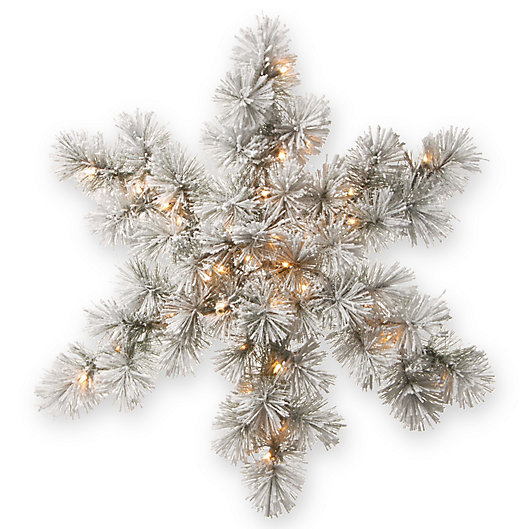 Alternate image 1 for National Tree Company® 32-Inch Snowy Bristle Snowflake with White LED Lights