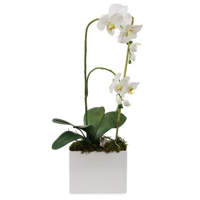 JohnRichard Faux Milan Orchid Floral Planter Bed Bath & Beyond