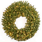 Alternate image 0 for National Tree Company 30-Inch Pre-Lit Norwood Fir Wreath with Battery Operated Warm White LED Lights