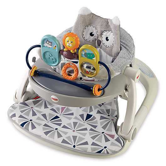 Alternate image 1 for Fisher-Price® Owl Sit-Me-Up Floor Seat