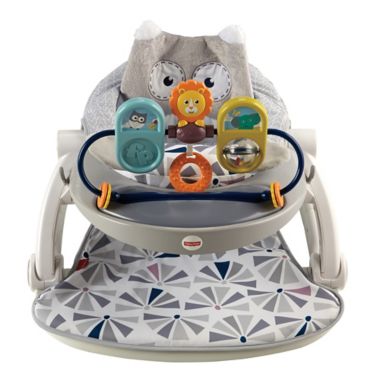 Fisher-Price&reg; Owl Sit-Me-Up Floor Seat. View a larger version of this product image.