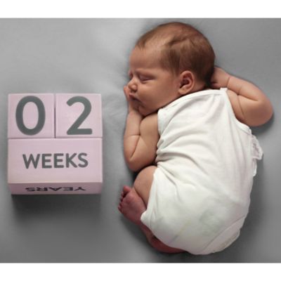 pearhead baby age blocks