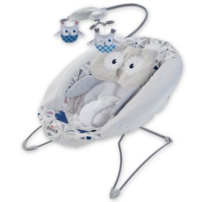 fisher price deluxe baby bouncer