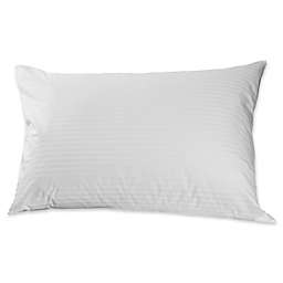 Down Town Company Solid Norway Cotton Lounge Pillow Case (Set of 2)