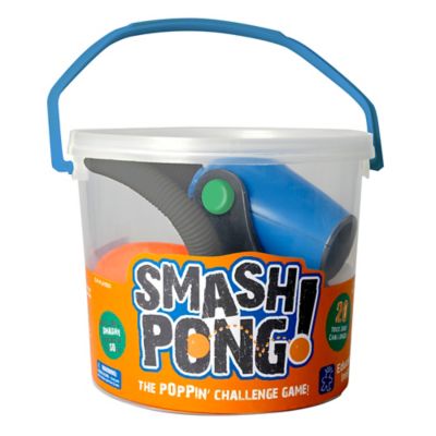 educational insights