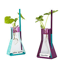 Educational Insights® Nancy B's Science Club™ Way To Grow Hydroponics Kit and Gardening Diary