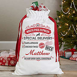 Special Delivery Santa Sack