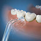 Alternate image 3 for Waterpik&reg; WP-450 Ultra Cordless Dental Water Jet Replacement Tip (2-Pack)