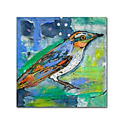 Magic Bird 18-Inch Square Canvas Wall Art
