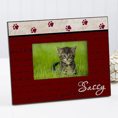 Good Kitty 4-Inch x 6-Inch Picture Frame