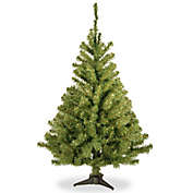 National Tree Company 3-Foot Kincaid Spruce Artificial Christmas Tree