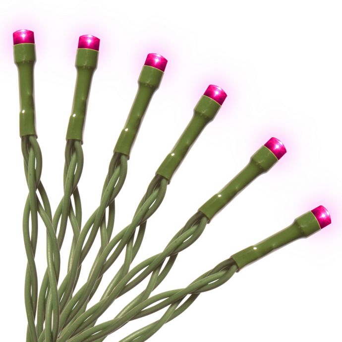 National Tree Company 15Bulb LED String Light Bed Bath & Beyond