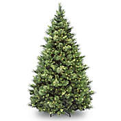 National Tree Company 9-Foot Pre-Lit Carolina Pine Artificial Christmas Tree