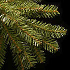 Alternate image 1 for National Tree Company 6-Foot Dunhill Fir Artificial Christmas Tree