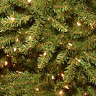 Alternate image 2 for National Tree Company 10-Foot Pre-Lit LED Dunhill Fir Artificial Christmas Tree