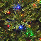 Alternate image 3 for National Tree Company 10-Foot Pre-Lit LED Dunhill Fir Artificial Christmas Tree