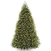 National Tree Company Pre-Lit PowerConnect Dunhill Fir Artificial Christmas Tree