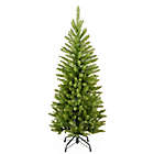 Alternate image 0 for National Tree Company 4-Foot Kingswood Fir Pencil Christmas Tree