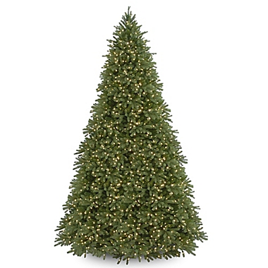 National Tree Company Pre-Lit Jersey Fraser Fir Christmas Tree with Clear Lights. View a larger version of this product image.