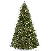 National Tree Company Pre-Lit Jersey Fraser Fir Christmas Tree with Clear Lights