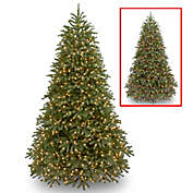 National Tree Company Pre-Lit Jersey Fraser Fir Christmas Tree with Dual Color&reg; LED Lights