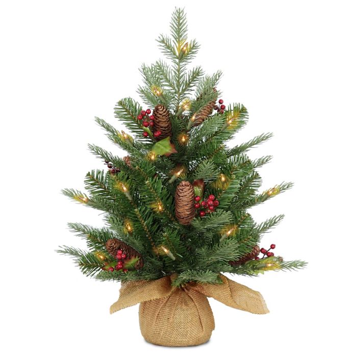 National Tree Company 2-Foot Pre-Lit LED Feel Real Nordic Spruce