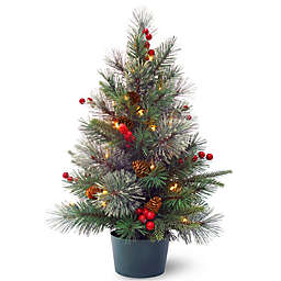 National Tree Company® 2-Foot Pre-Lit LED Colonial Potted Plant Artificial Christmas Tree