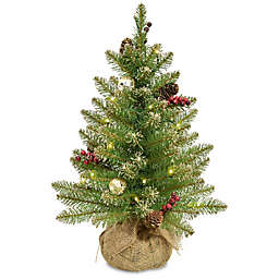 National Tree Company® 2-Foot Pre-Lit LED Glittery Gold Dunhill Fir Artificial Christmas Tree