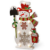 National Tree Company 17-Inch Pre-Lit Wooden Snowman Christmas Decoration
