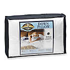 Alternate image 1 for Pacific Coast&reg; Luxury Firm Down Pillow in White