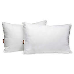 Panama Jack Luxury 2-Pack Embossed Microfiber Pillows in White