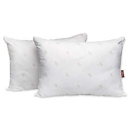 Panama Jack Logo 2-Pack Cotton Jumbo Luxury Bed Pillows
