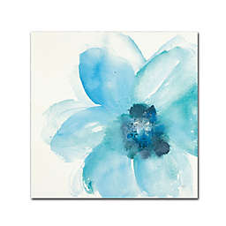 Trademark Fine Art Teal Cosmos II 18-Inch Square Canvas Wall Art