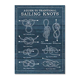 Trademark Fine Art 'Vintage Sailing Knots I' 18-Inch x 24-Inch  Wall Art