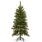 Alternate image 0 for National Tree Company 4-1/2-Foot Tiffany Fir Slim Christmas Tree