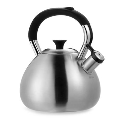 brushed stainless steel kettle