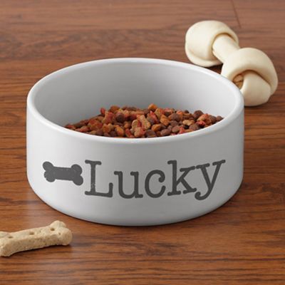 personalized cat dishes