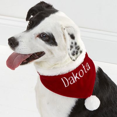 iu dog bandana