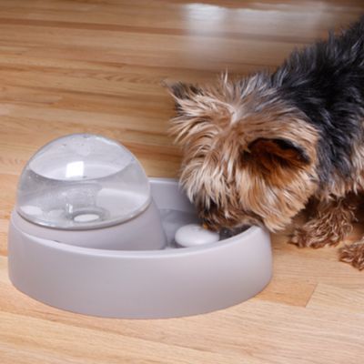 painting with pet ashes