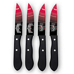 Ohio State University 4-Piece Stainless Steel Steak Knife Set