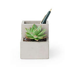 Kikkerland® Small Desk Organizer Pen Holder and Faux Planter in Concrete