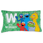 Alternate image 0 for Sesame Street&reg; Initial and Name Pillowcase in Green